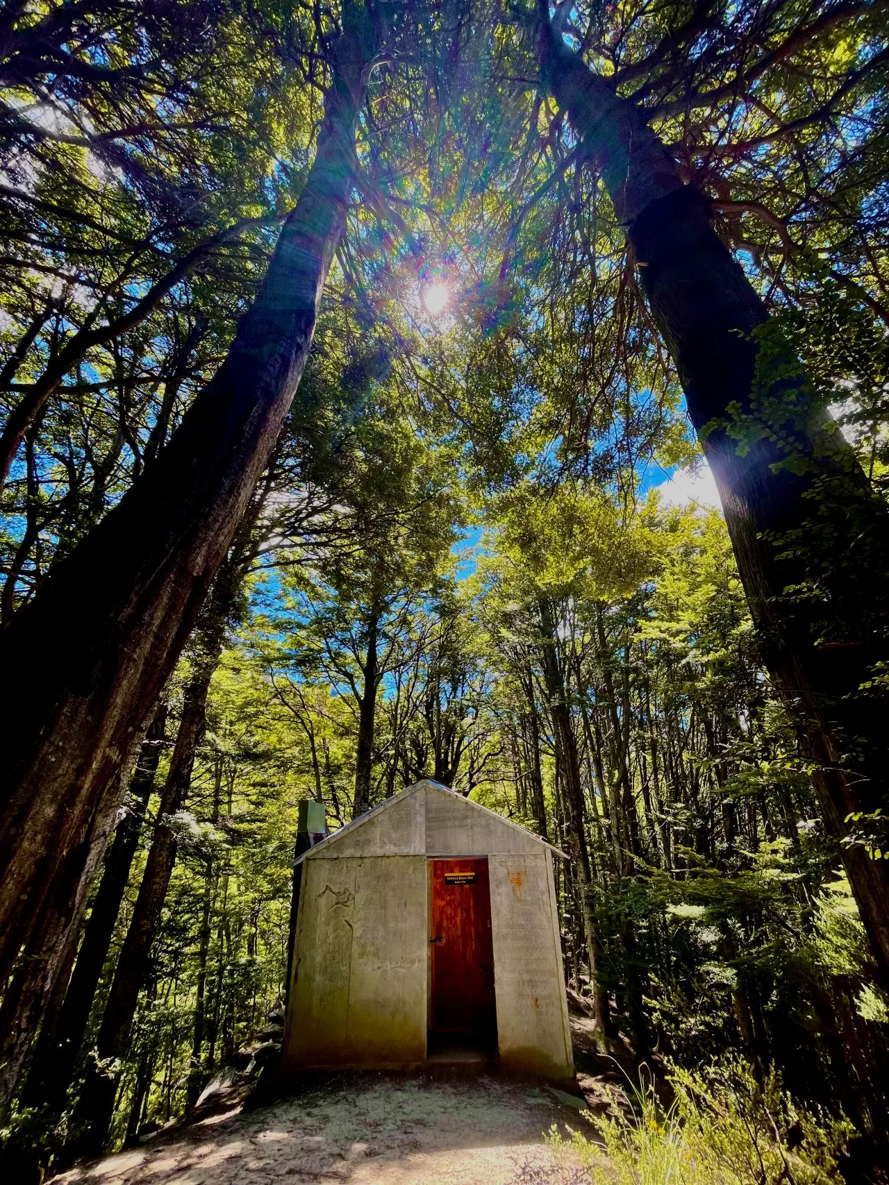 Sawyer Burn Hut visitor photo 1