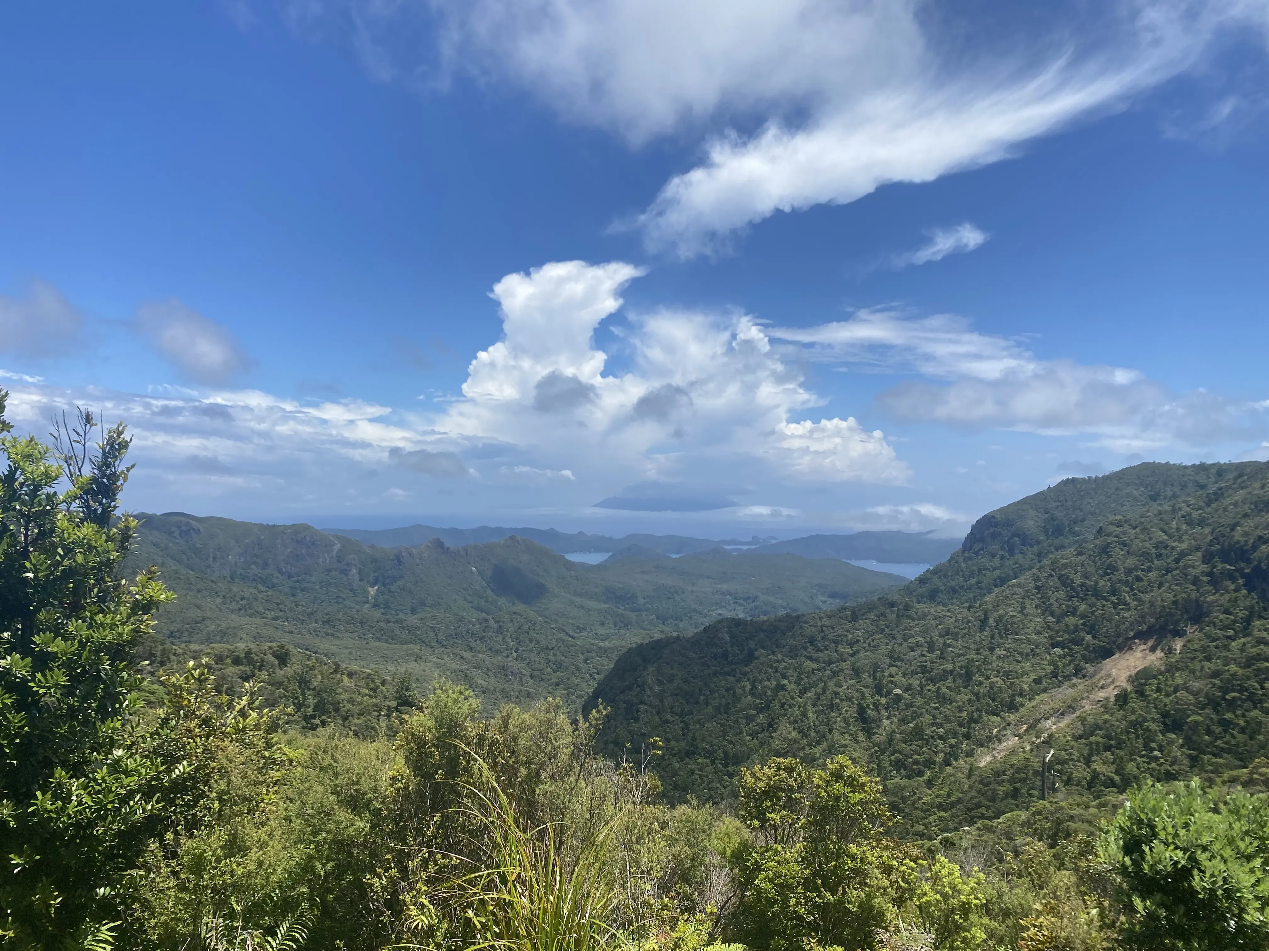 Kaiaraara Track to Maunga Hirakimatā / Mt Hobson visitor photo 1