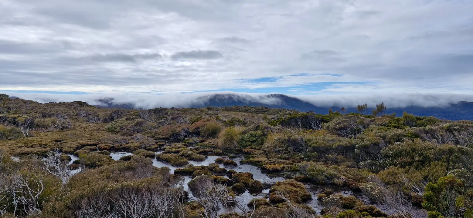 Southern Circuit Stewart Island/Rakiura visitor photo 1