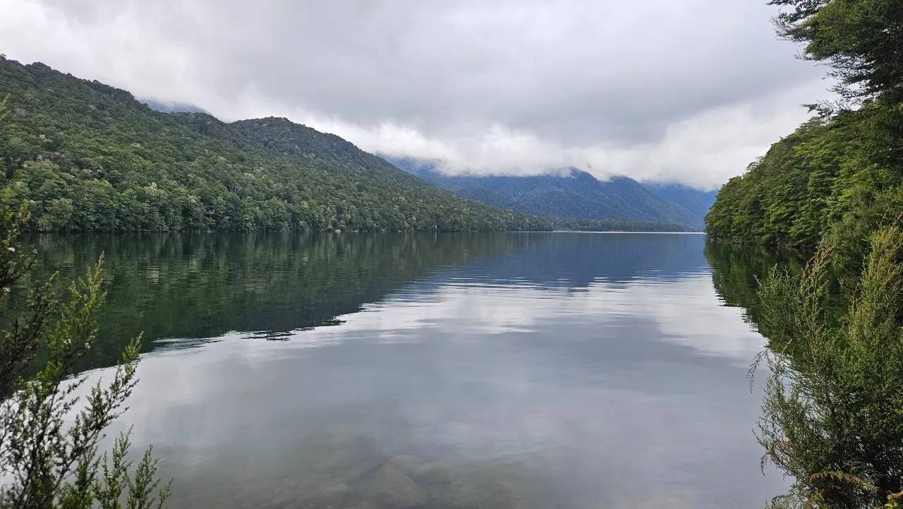Lake Monowai Peninsula Lookout Track visitor photo 1