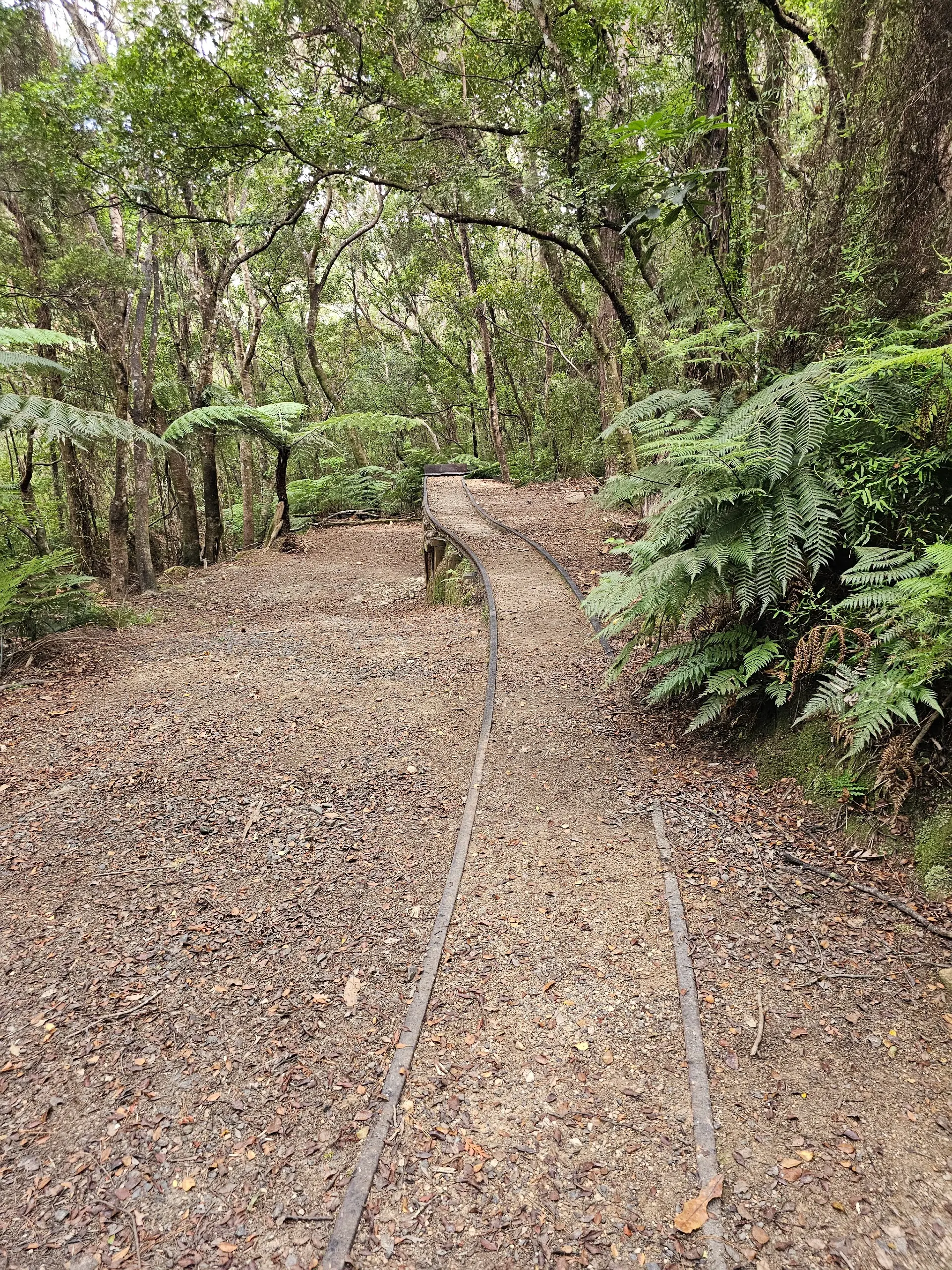 Broken Hills Battery Loop visitor photo 1