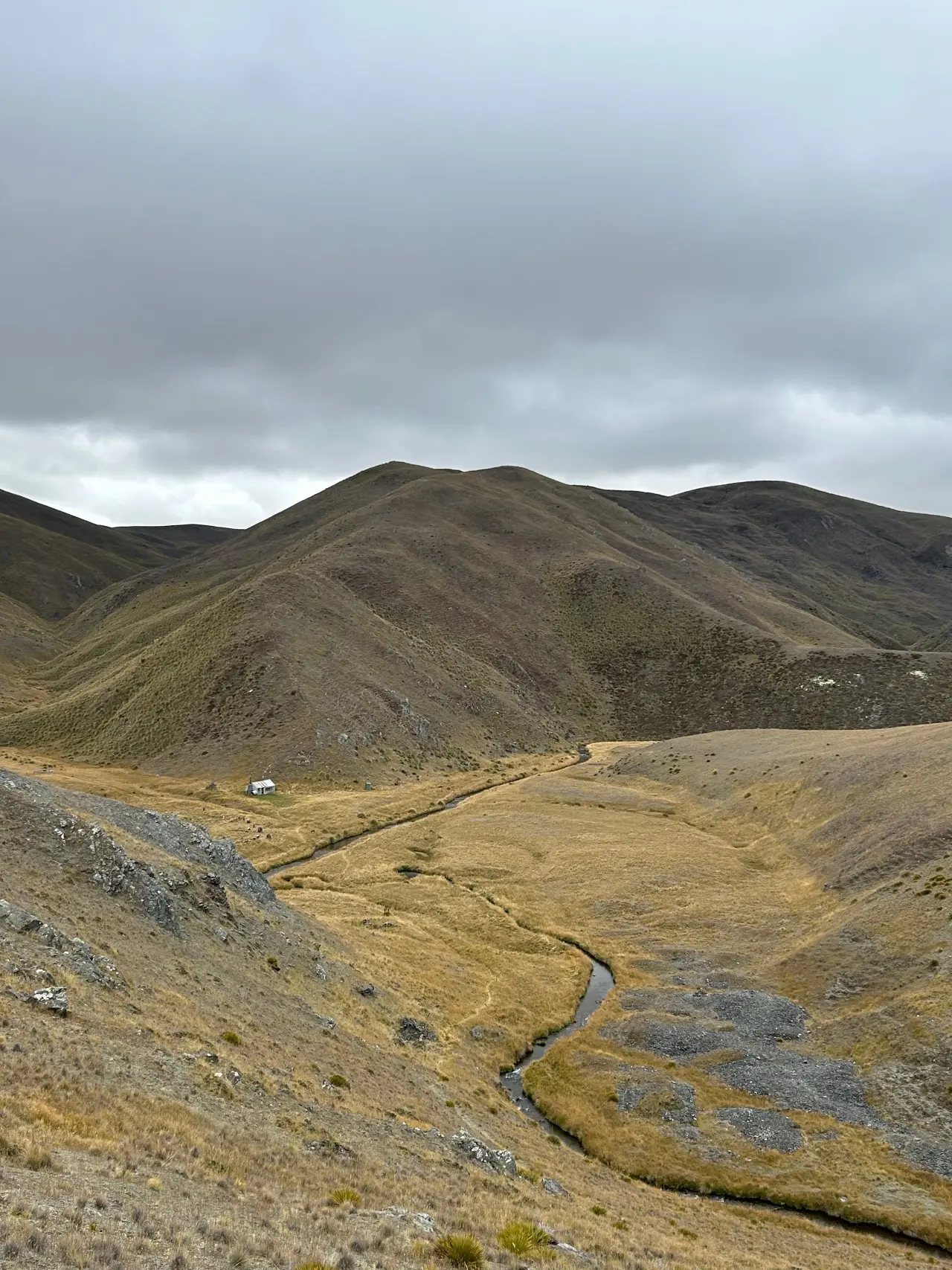 Cardrona-Cromwell Pack Track visitor photo 1