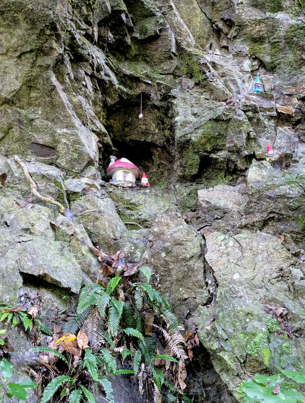 Trelissick Park Loop Track visitor photo 1