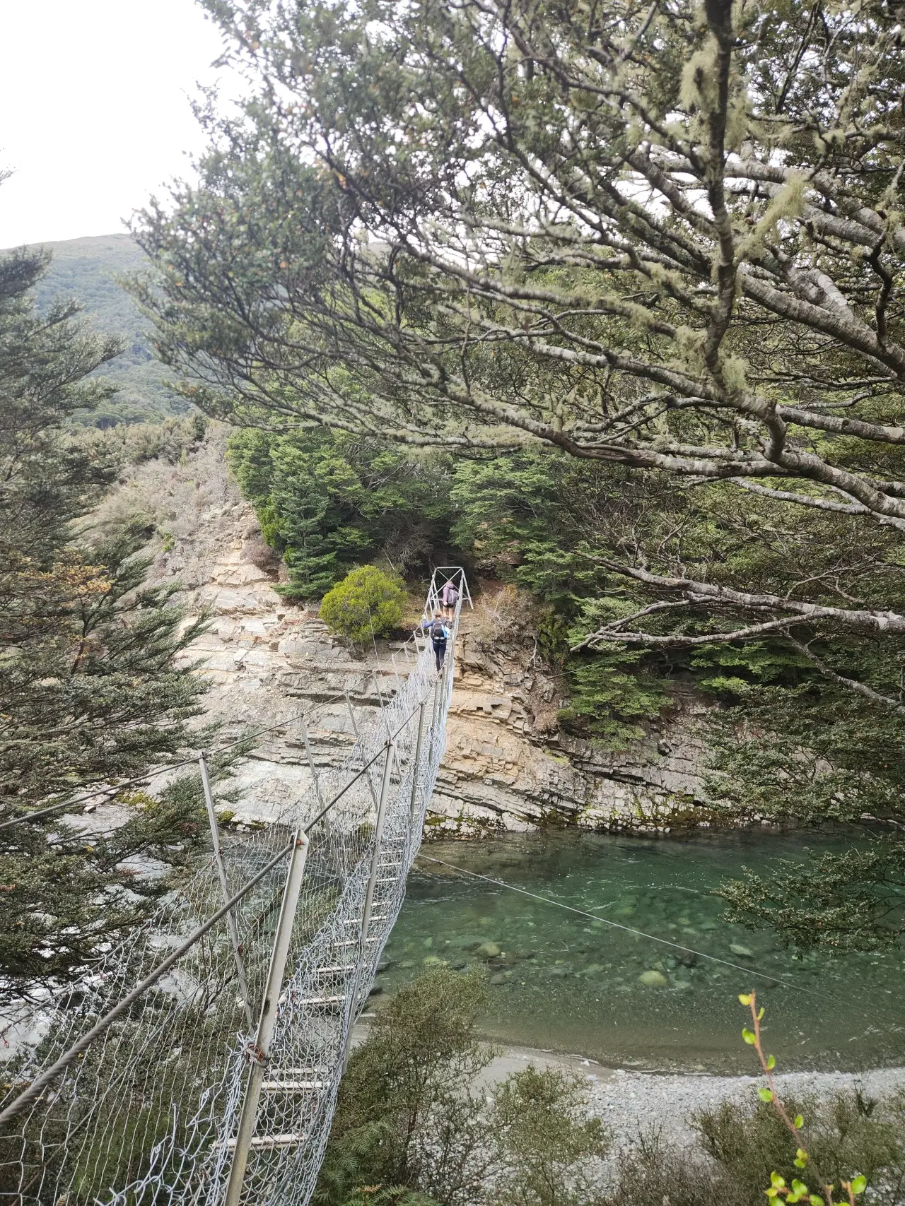 Aparima River Track visitor photo 1