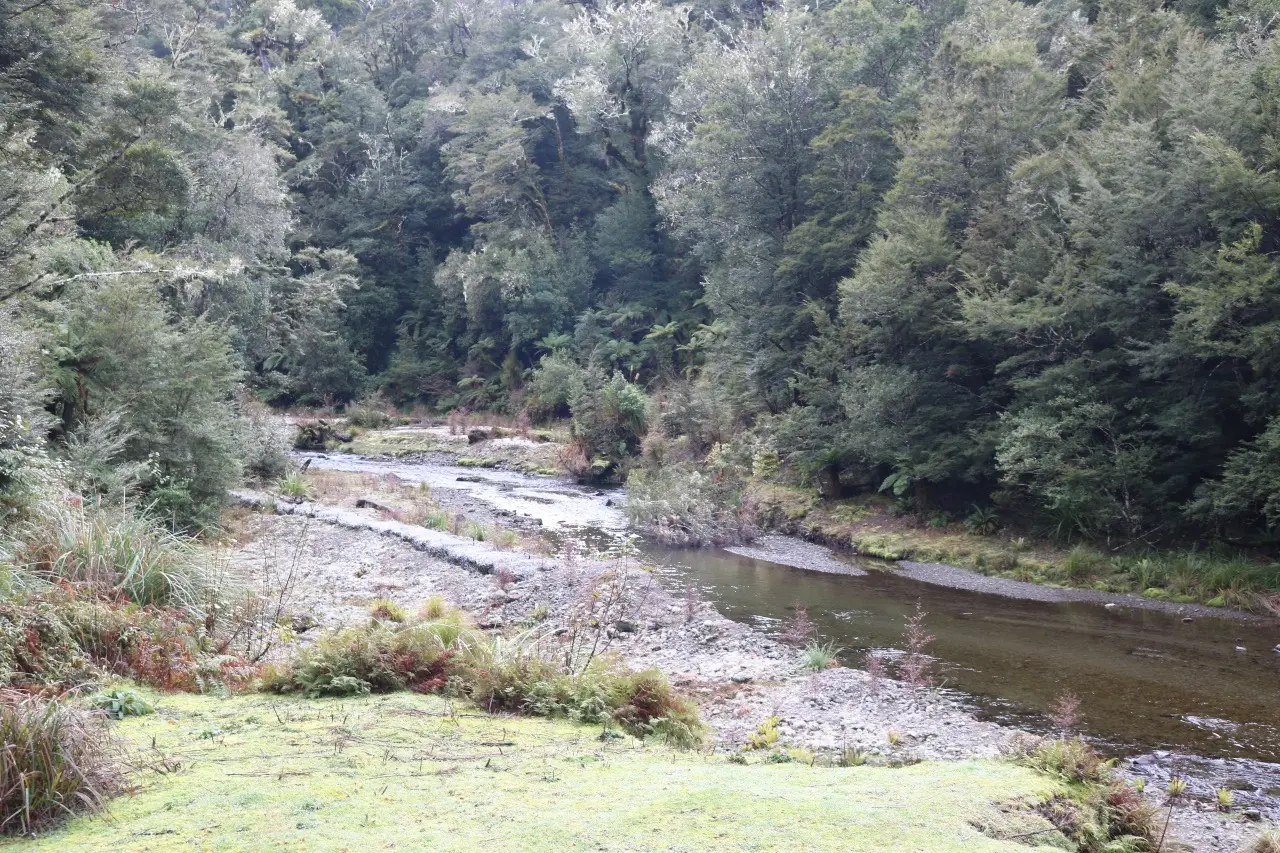 Skips Hut (Whangatawhia) visitor photo 1