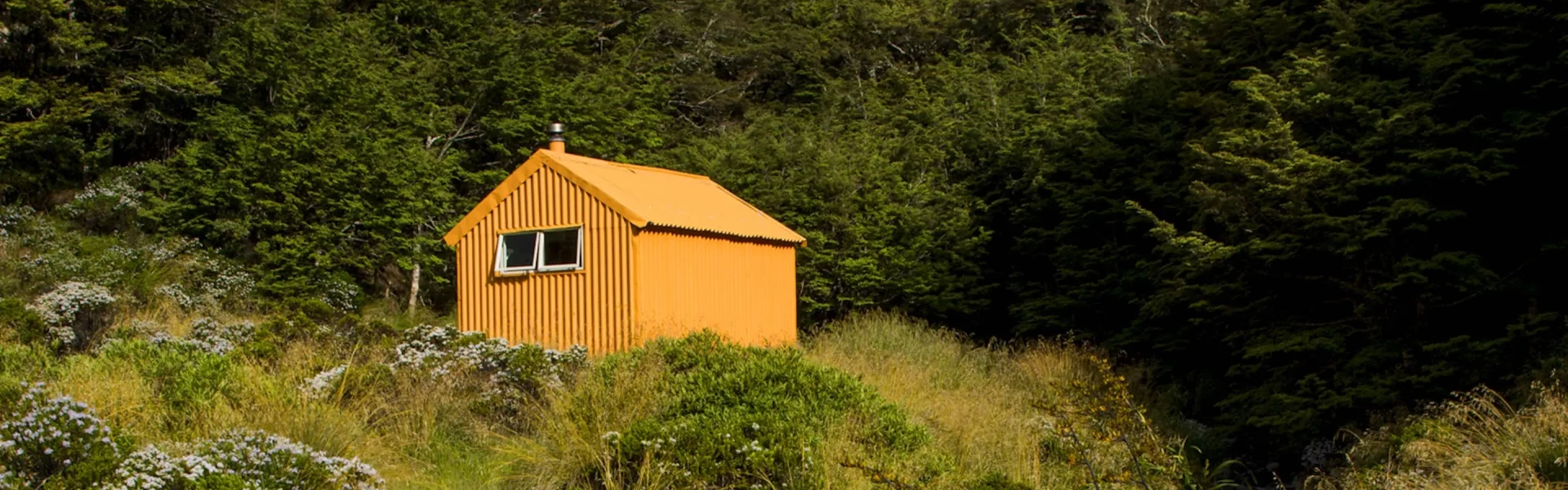 Back Ridge Hut Plan My Walk