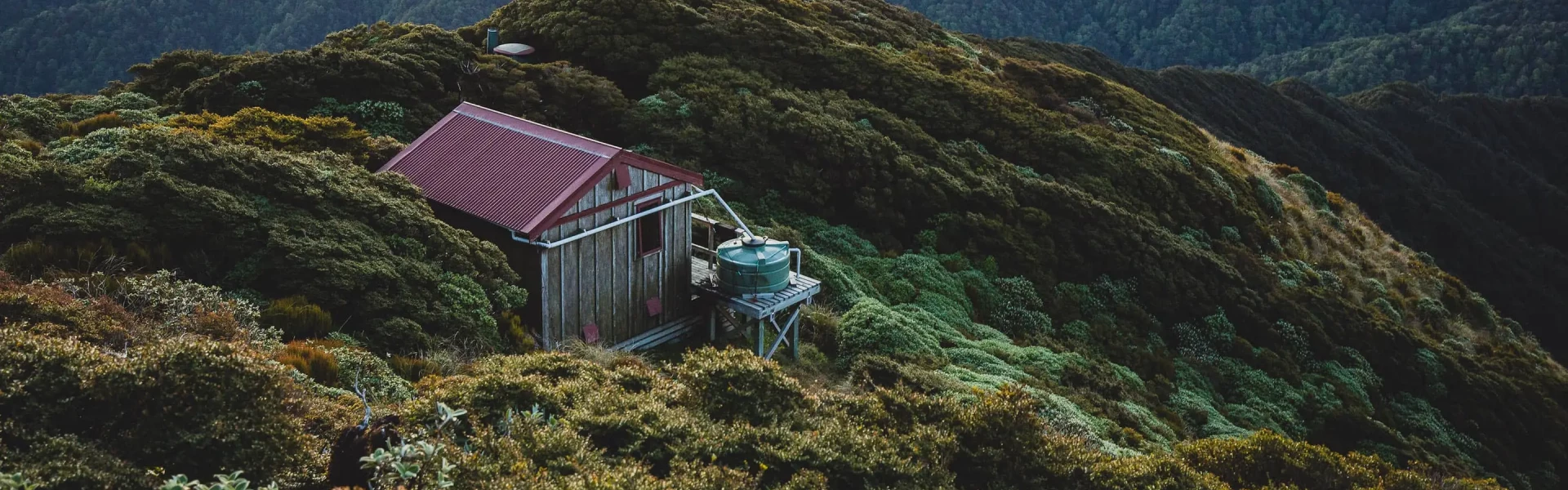 Elder Hut.WGN.Caleb Smith