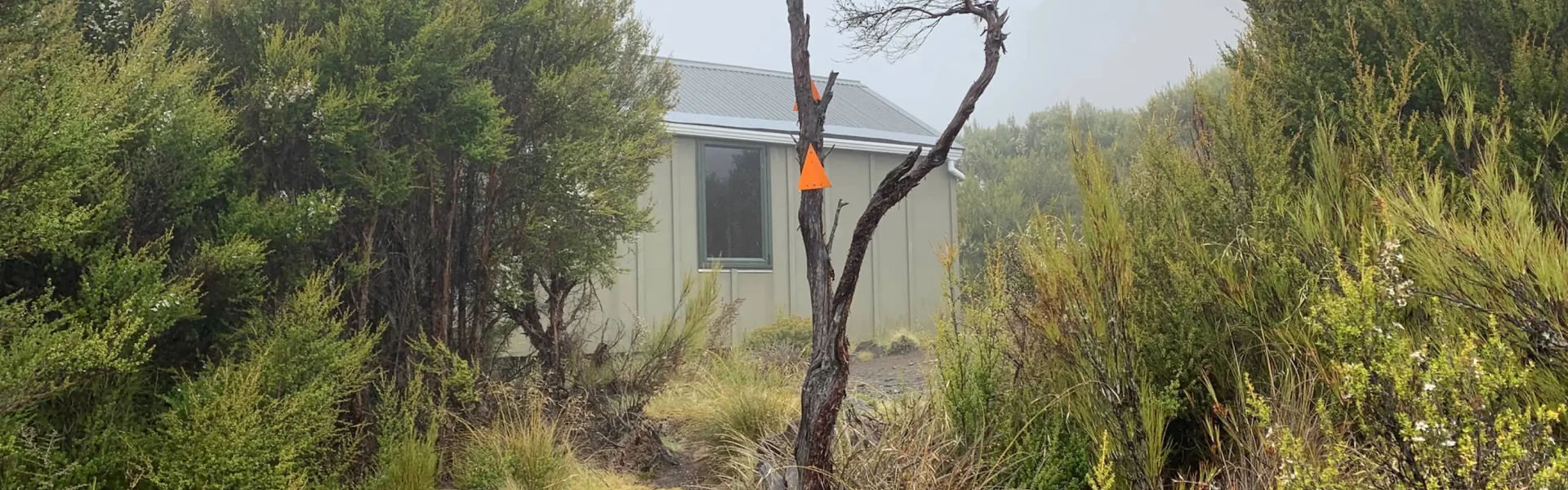 Hunters Hut.NSNTAS.Denis Stanton