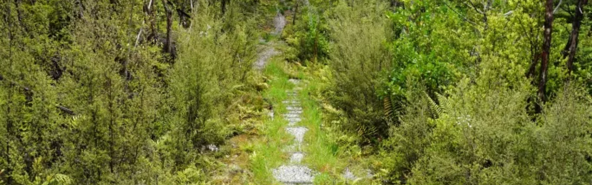 Plan My Walk