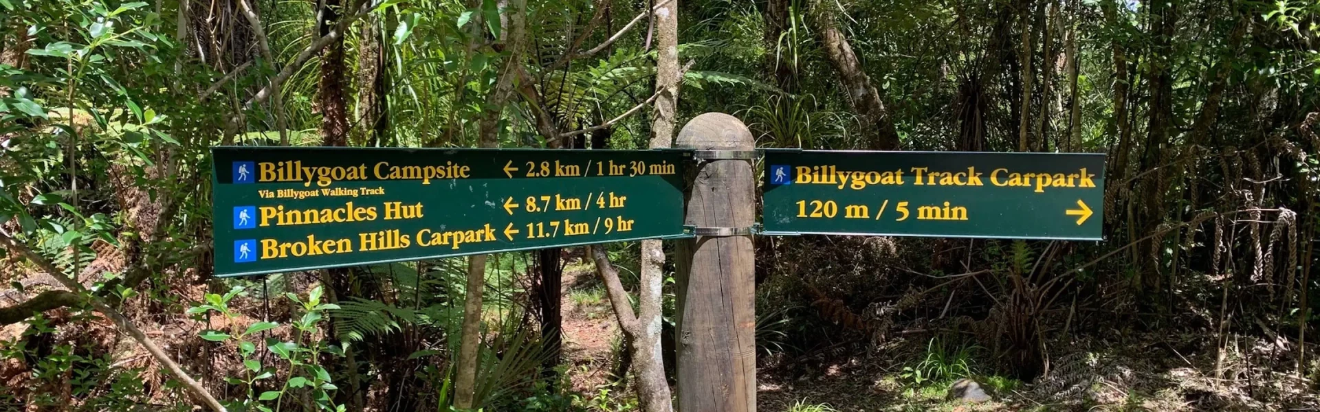 Plan My Walk