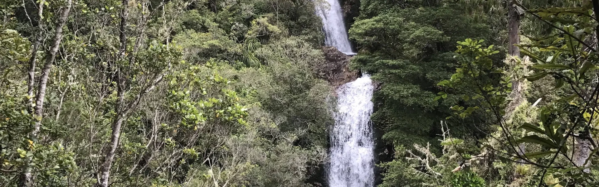 COR.Wentworth Valley Walks.CamperMate