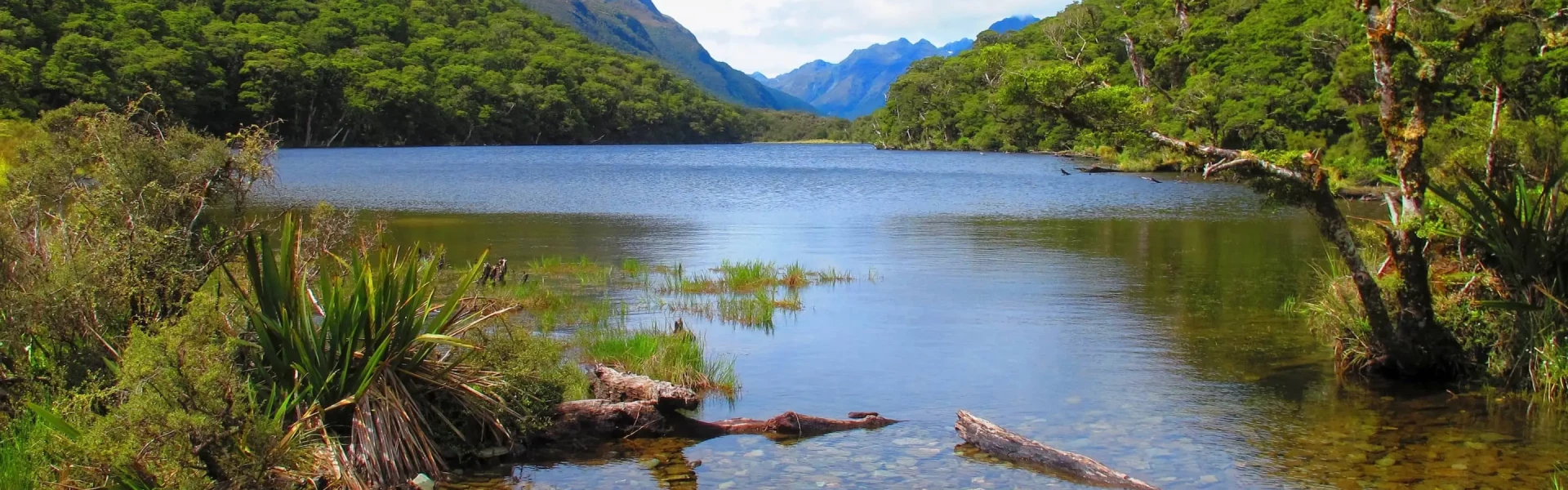 Routeburn track hotsell milford sound