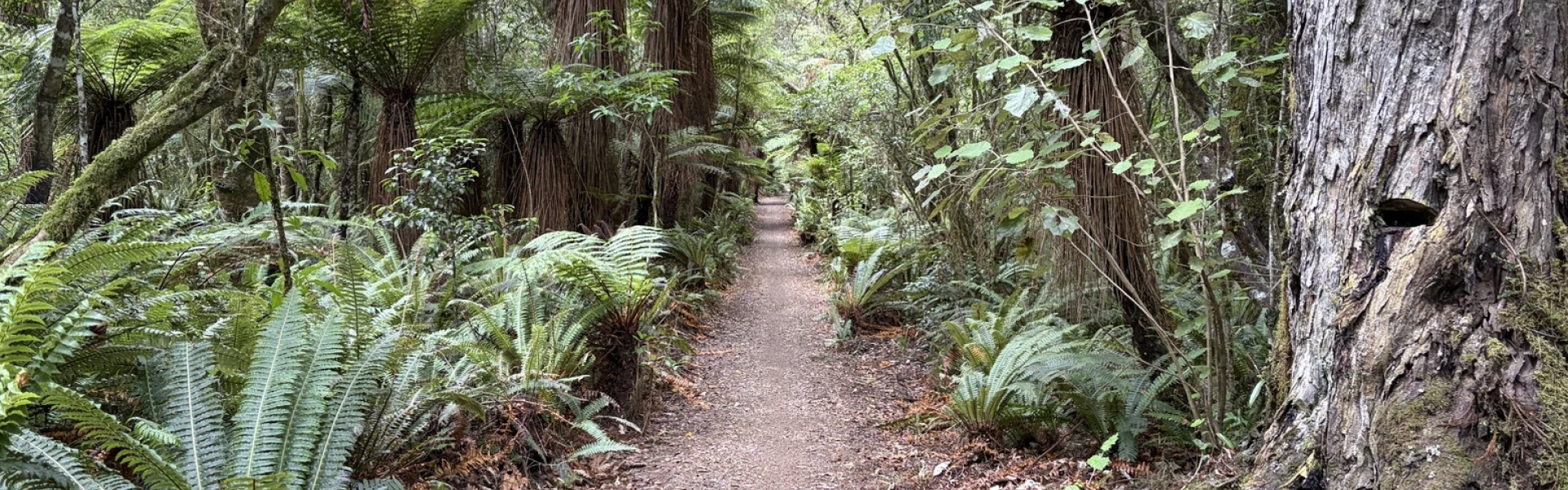 Plan My Walk