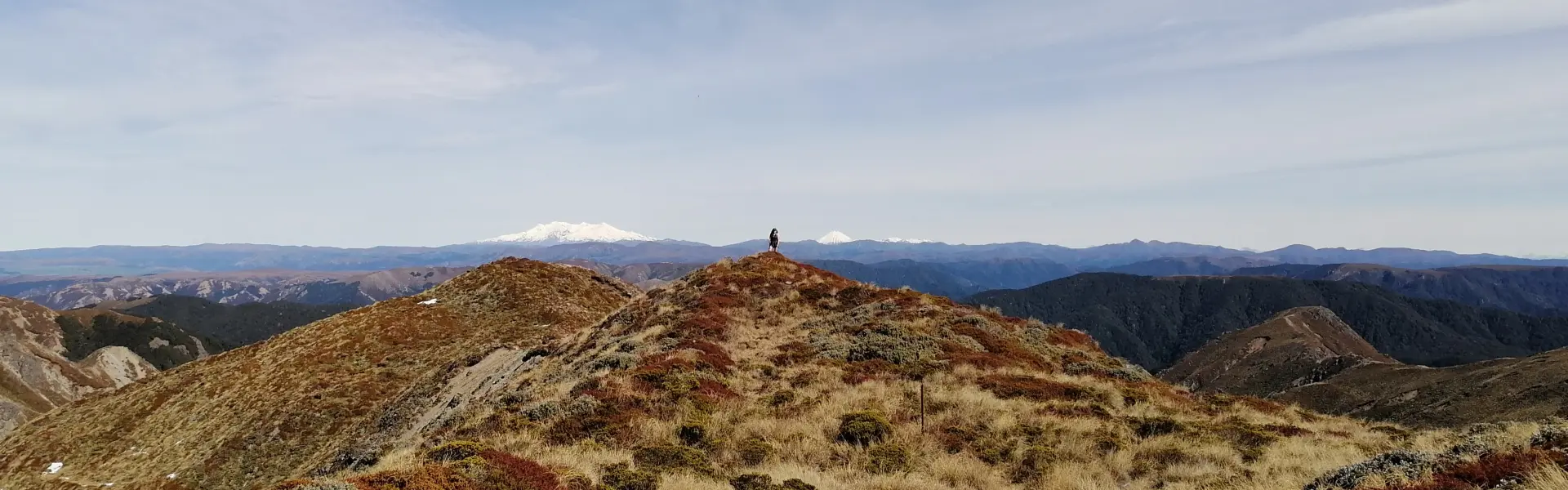 Kaweka main range