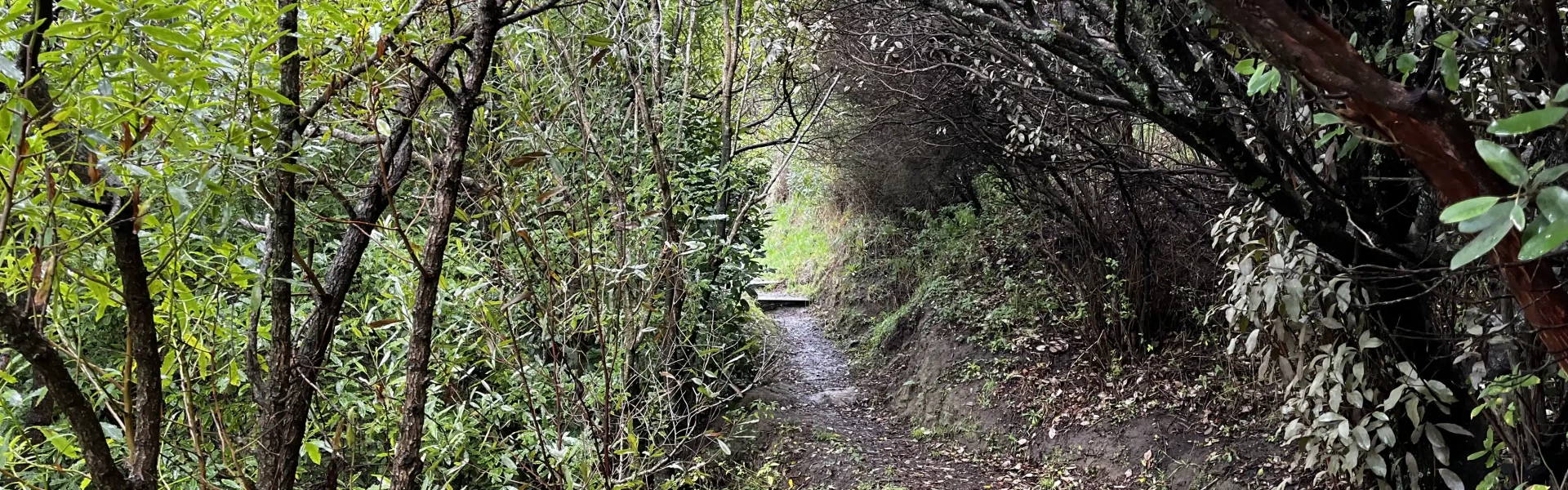 Scarborough Bluffs Track.Bevan Smith