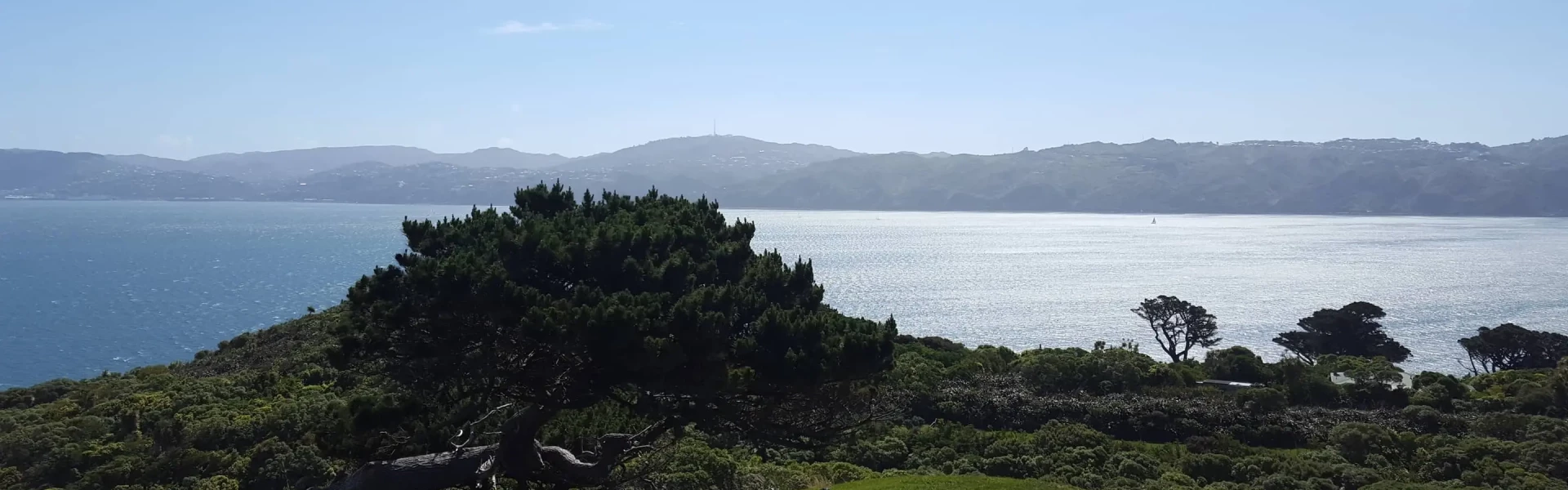 WGN.Matiu Somes Island gun emplacements track.Leah Maclean