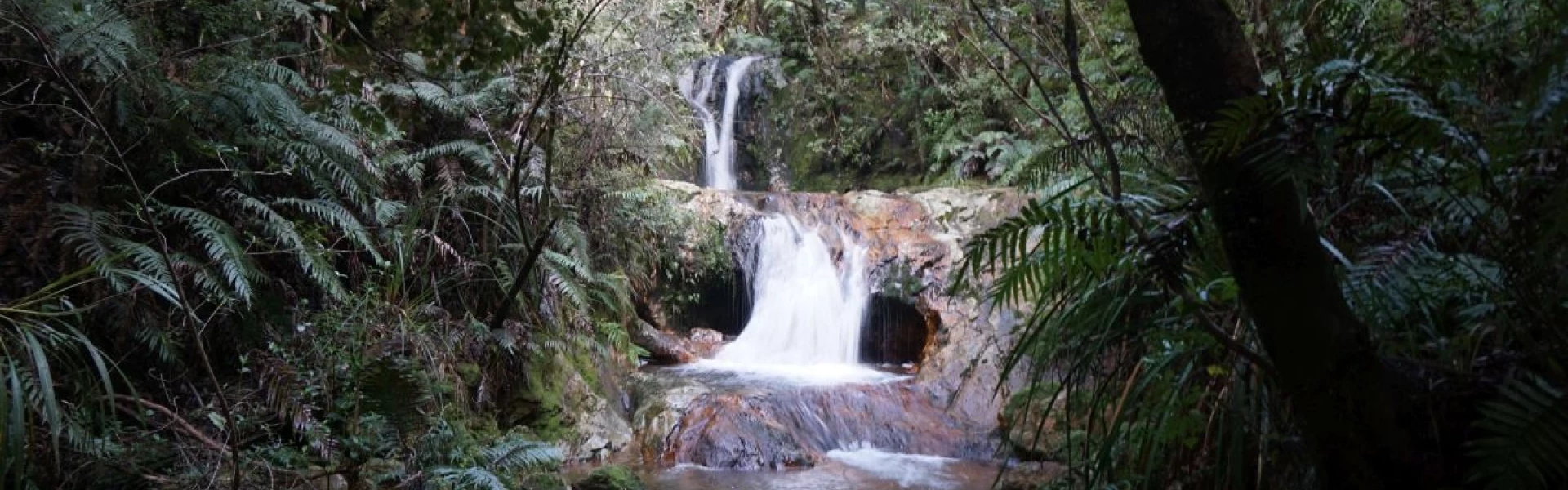 Swimming hole and waterfall behind the old Government Battery site