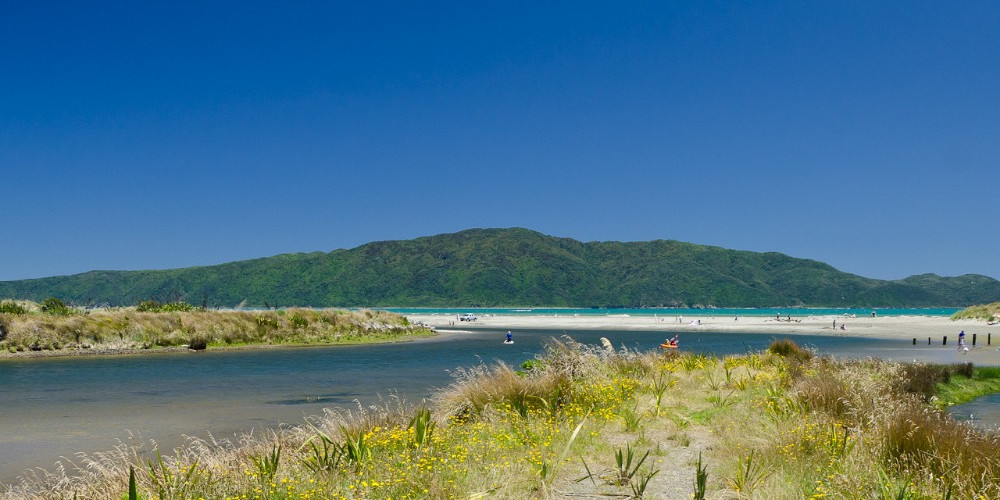 Pedestrian crossings - Kāpiti Coast District Council