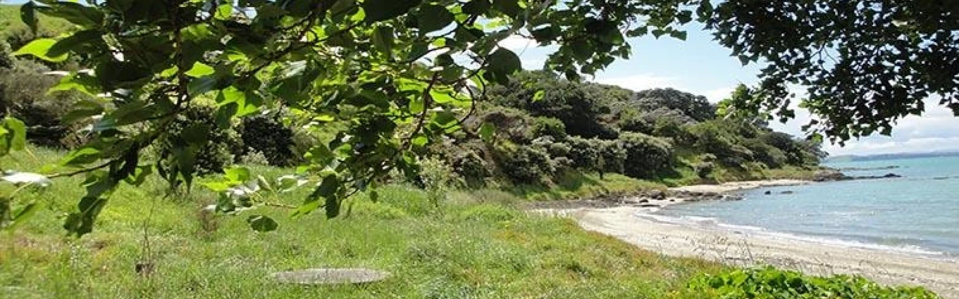 duder te wharau bay campground1