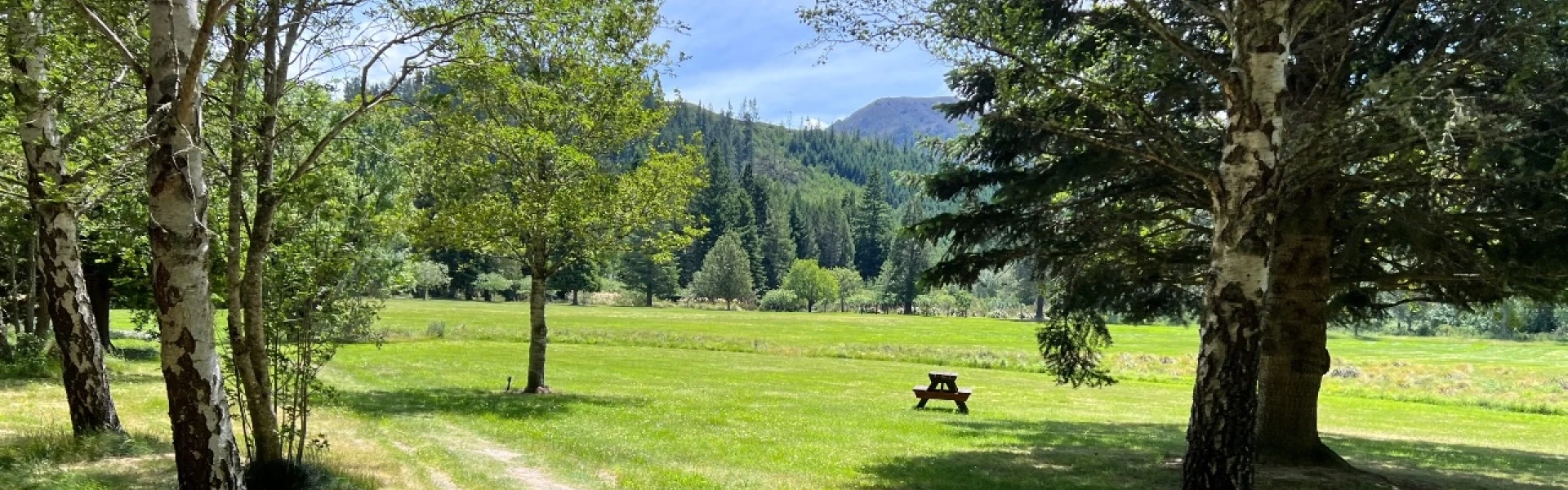Plan My Walk