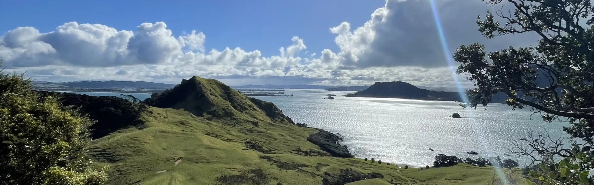 Te Whara Track
