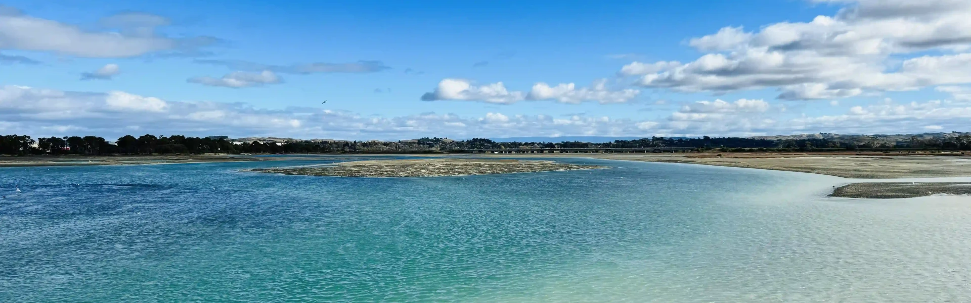 Ahuriri Estuary Walking Track