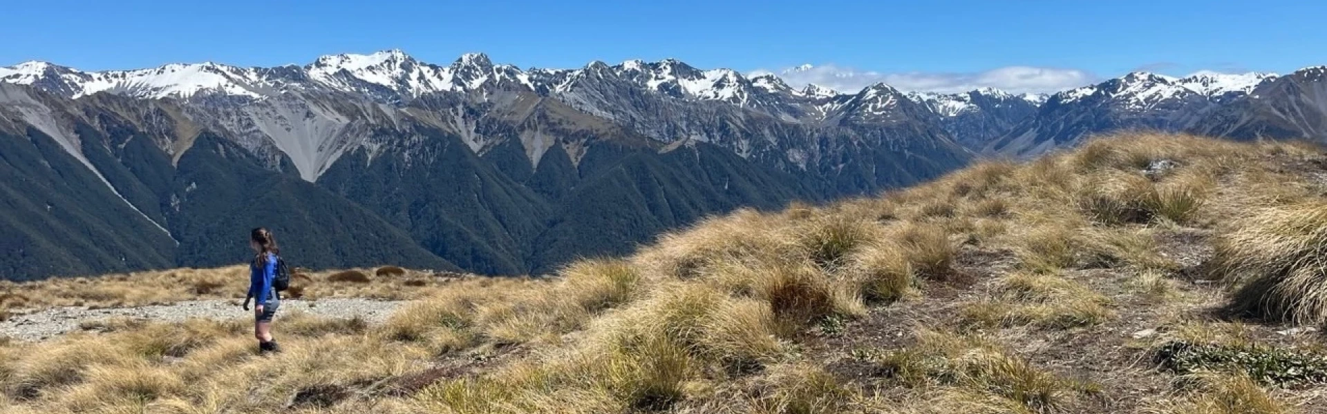Woolshed Hill Track