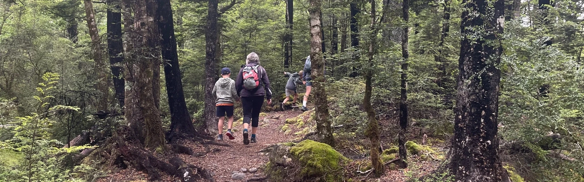 Kerr Bay Loop Track