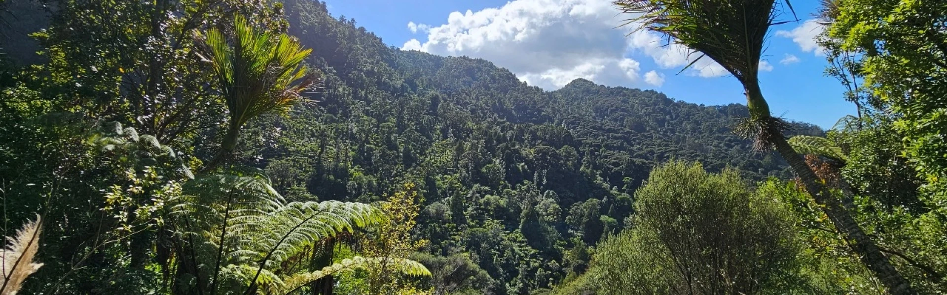 Karamatura Loop Walk