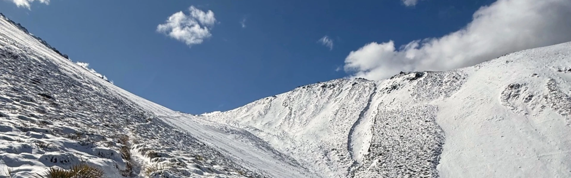 Camp Saddle Track, Craigieburn Forest Park, Canterbury, New Zealand - Plan  My Walk
