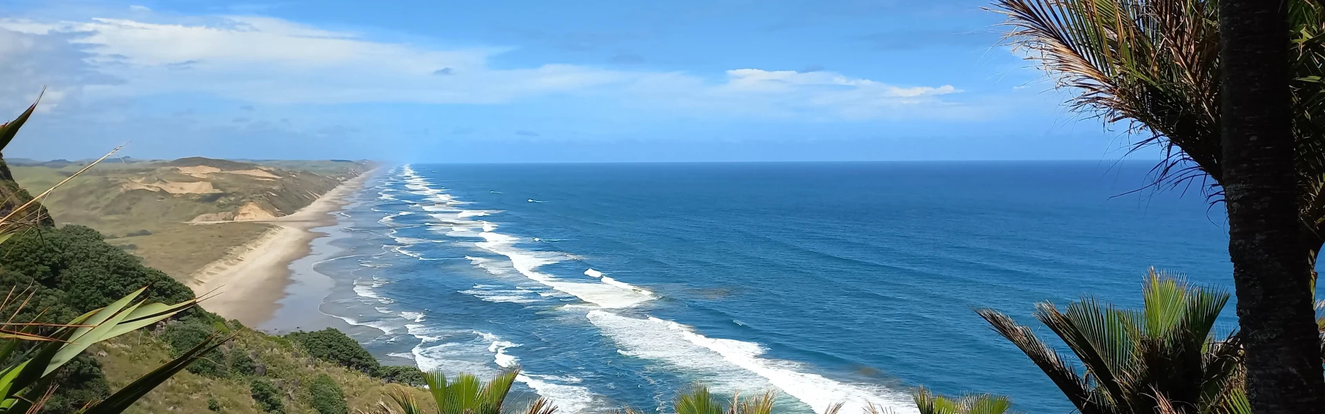 Maunganui Bluff Track