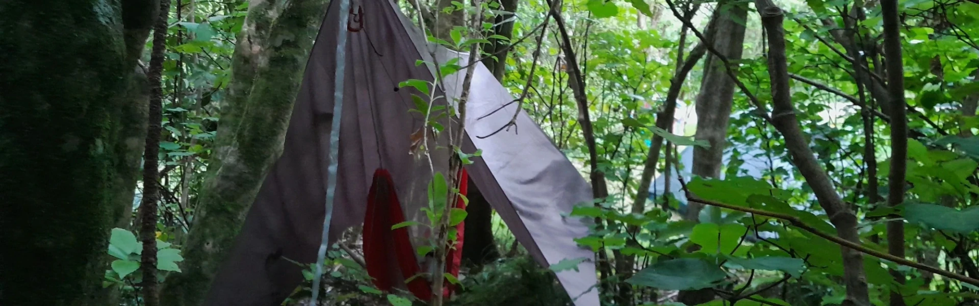 Cowshed Bay Campsite