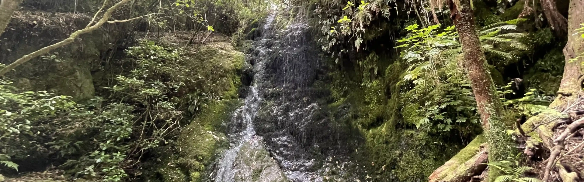 Trig K Track Elvy Track Waterfall