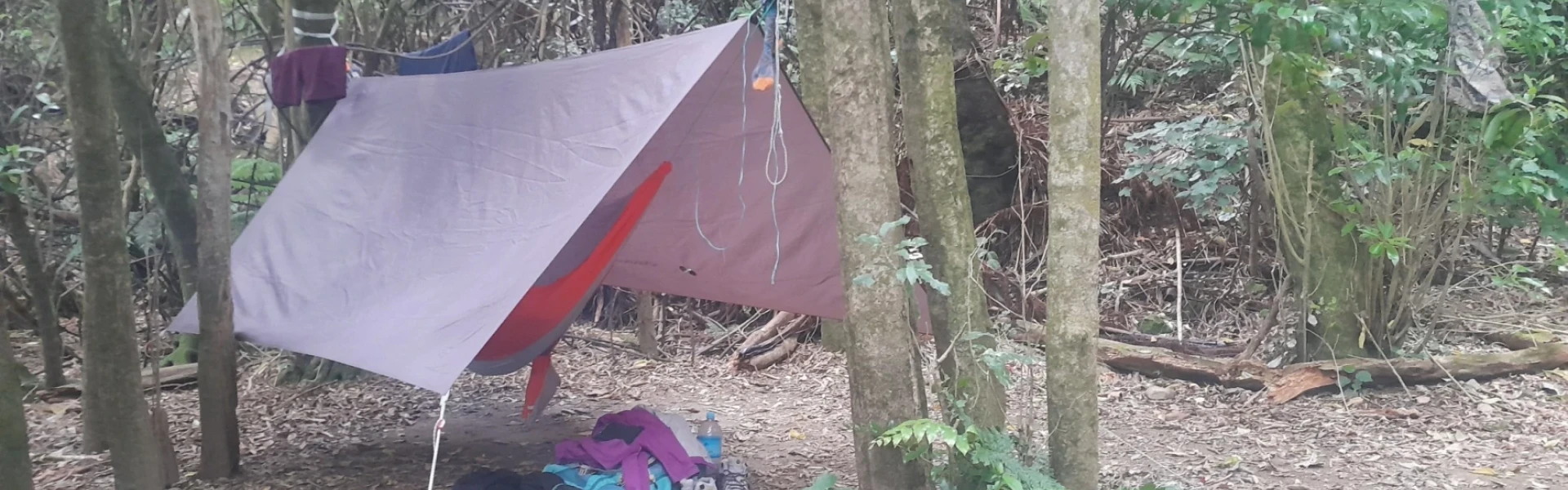 Camp Bay Campsite