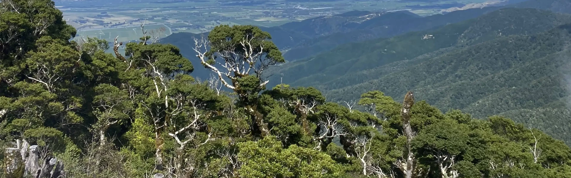 Mount Robertson tracks