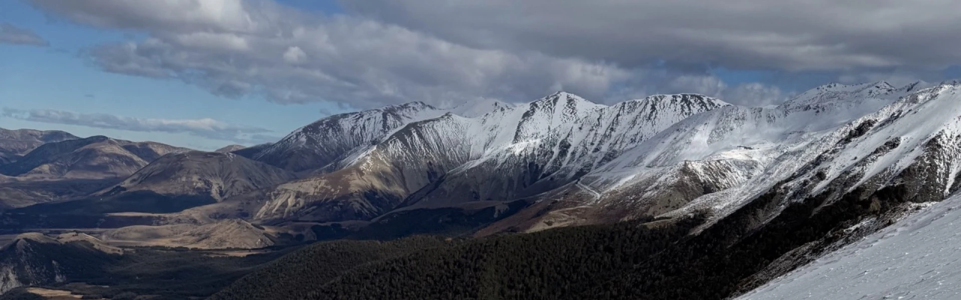 Camp Saddle Track, Craigieburn Forest Park, Canterbury, New Zealand - Plan  My Walk
