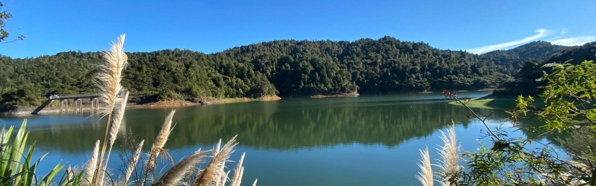 Hunua Suspension Bridge - Wairoa Loop Circuit