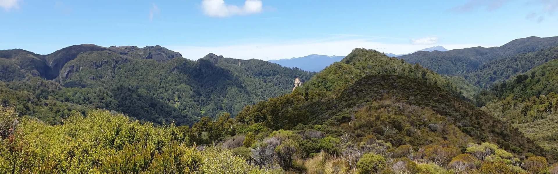 Kaituna Track
