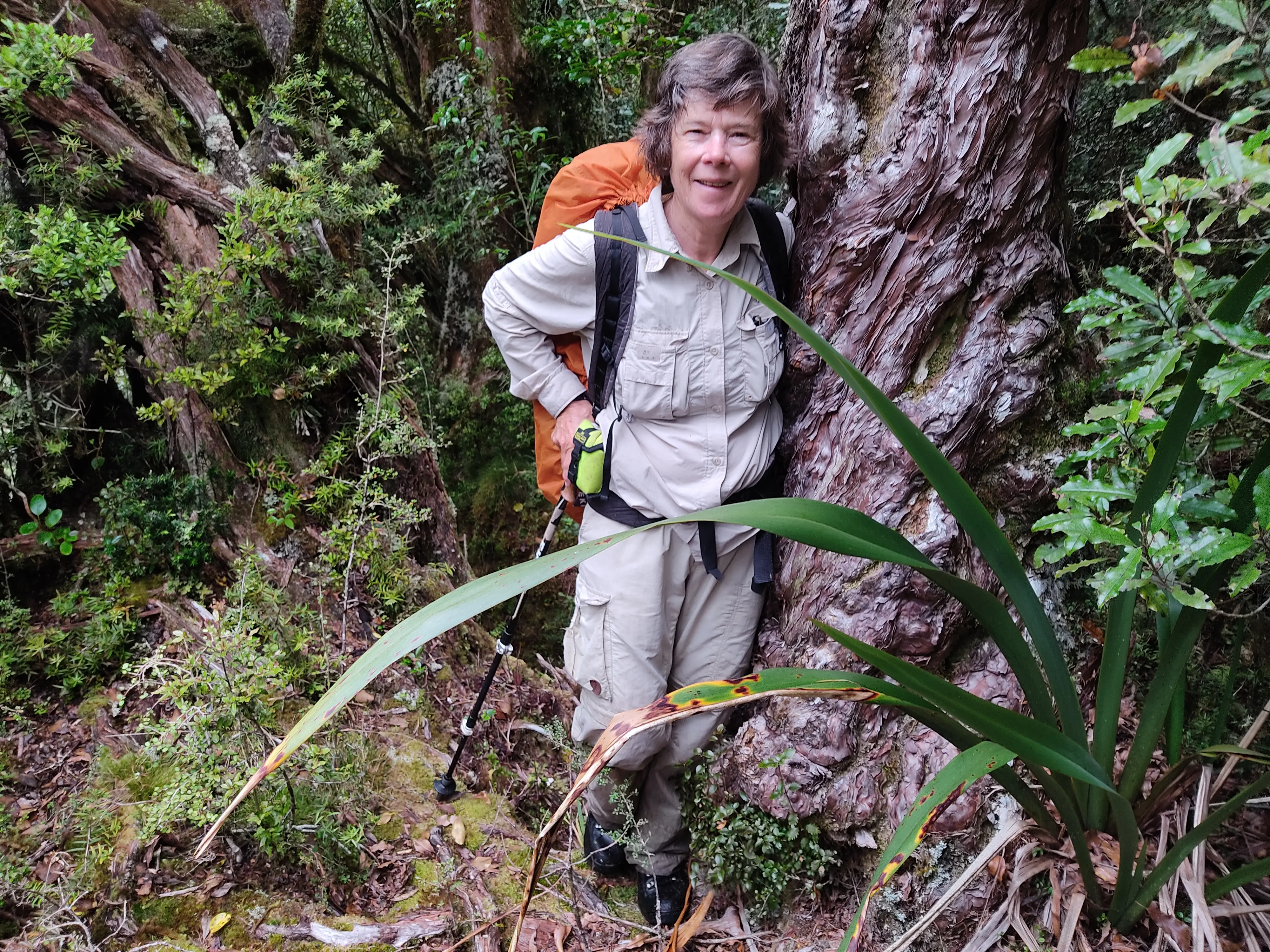 Mid Taipo Hut visitor photo 1