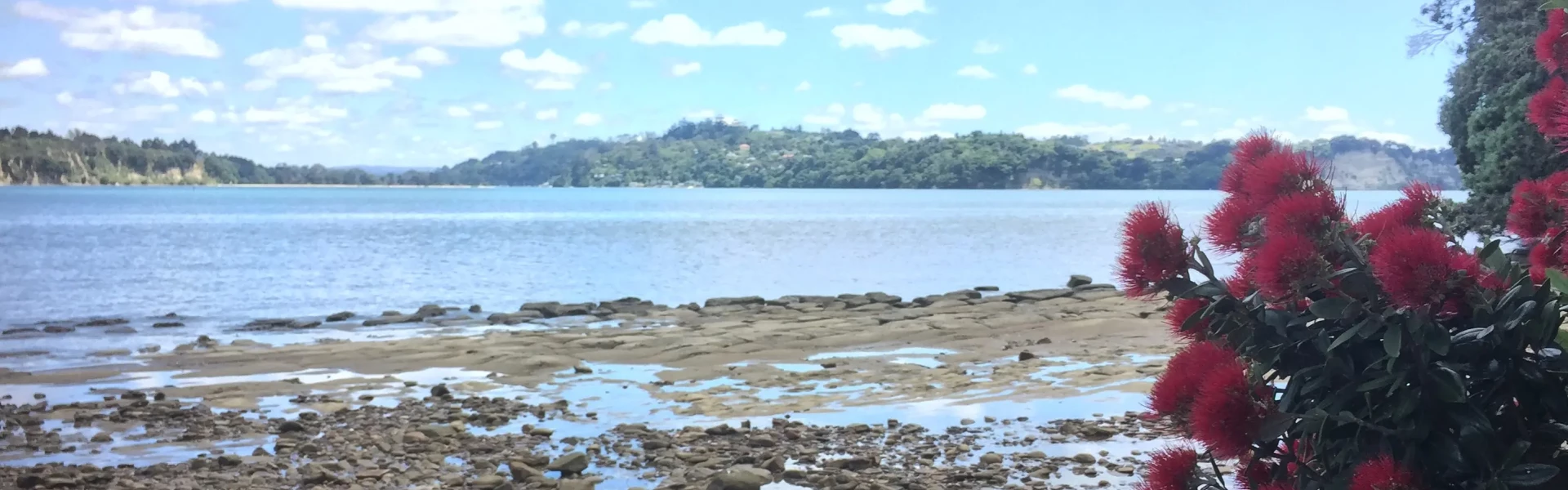 Long bay walking outlet track