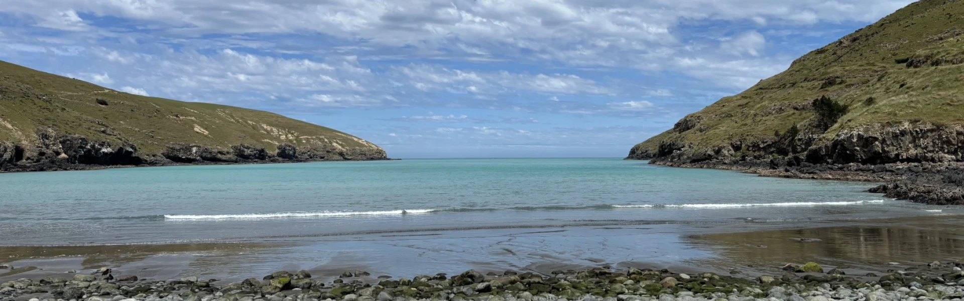Te Oka Reserve Track