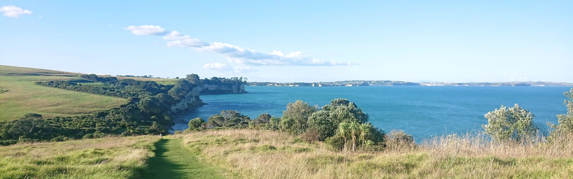 Long bay 2025 walking track